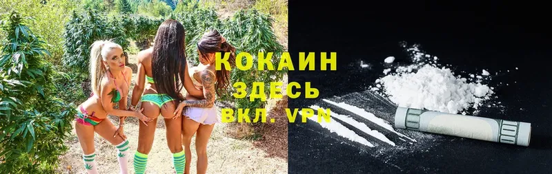 Cocaine Колумбийский  продажа наркотиков  Краснознаменск 